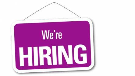 Telecom Site Technicians